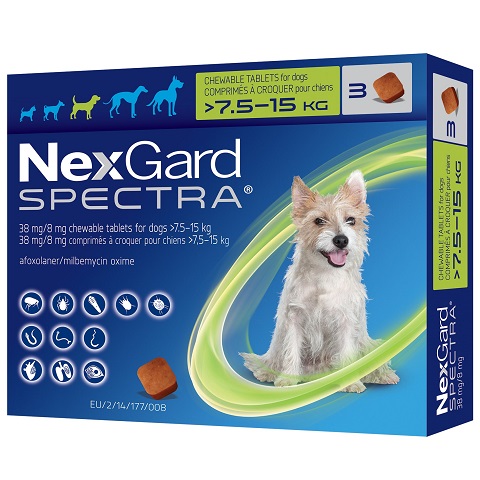 Nexgard spectra ebay best sale